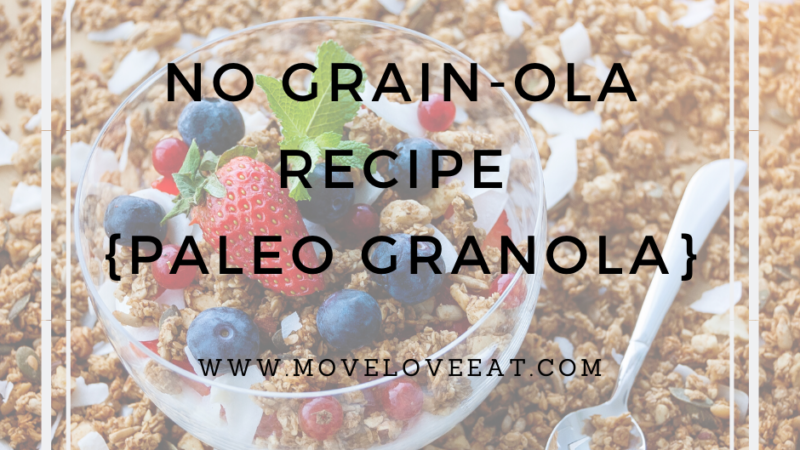 No Grain-ola Recipe – Paleo Granola