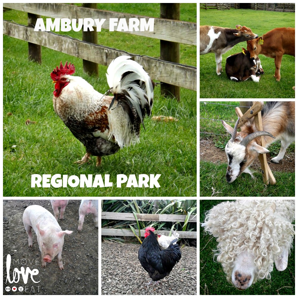 14 things I did in 2014 - discovered and visited ambury farm regional park