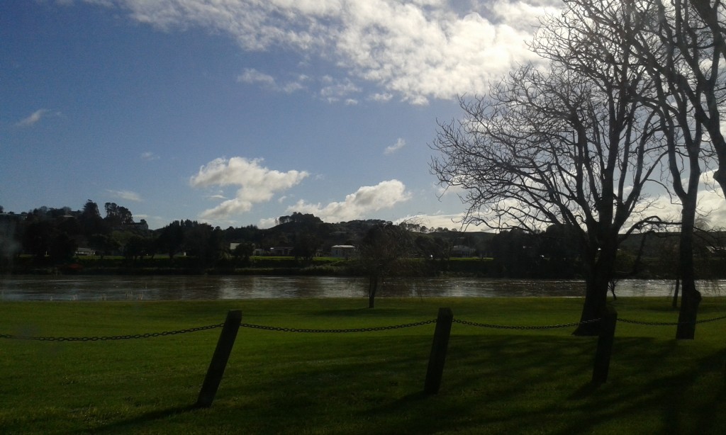 14 things I did in 2014 - made the decision to move back to wanganui and resigned