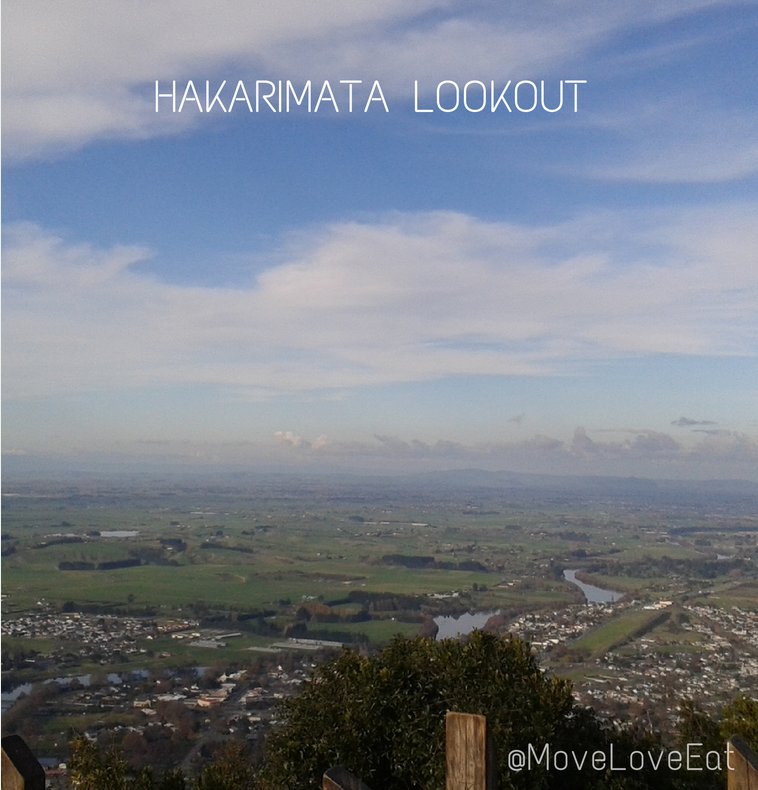 14 things I did in 2014 - walked the hakarimata stairs in ngaruawahia
