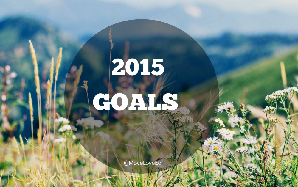 2014 goal review and setting 2015 goals - Move Love Eat