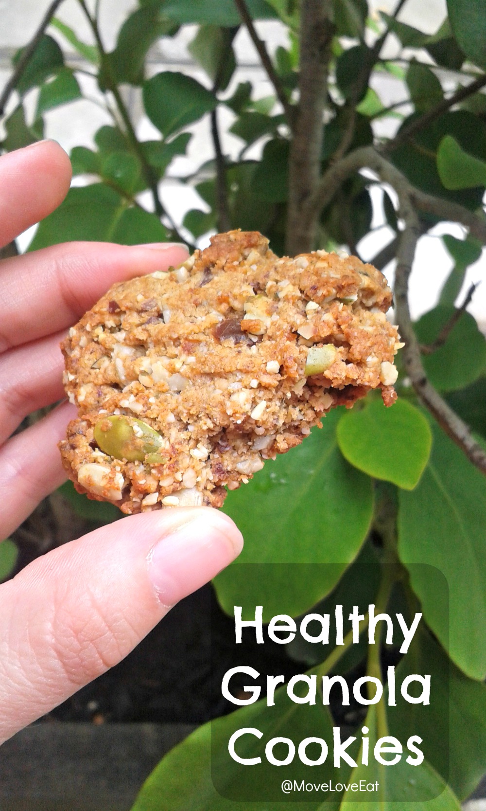 Healthy [but delicious] Granola Cookies