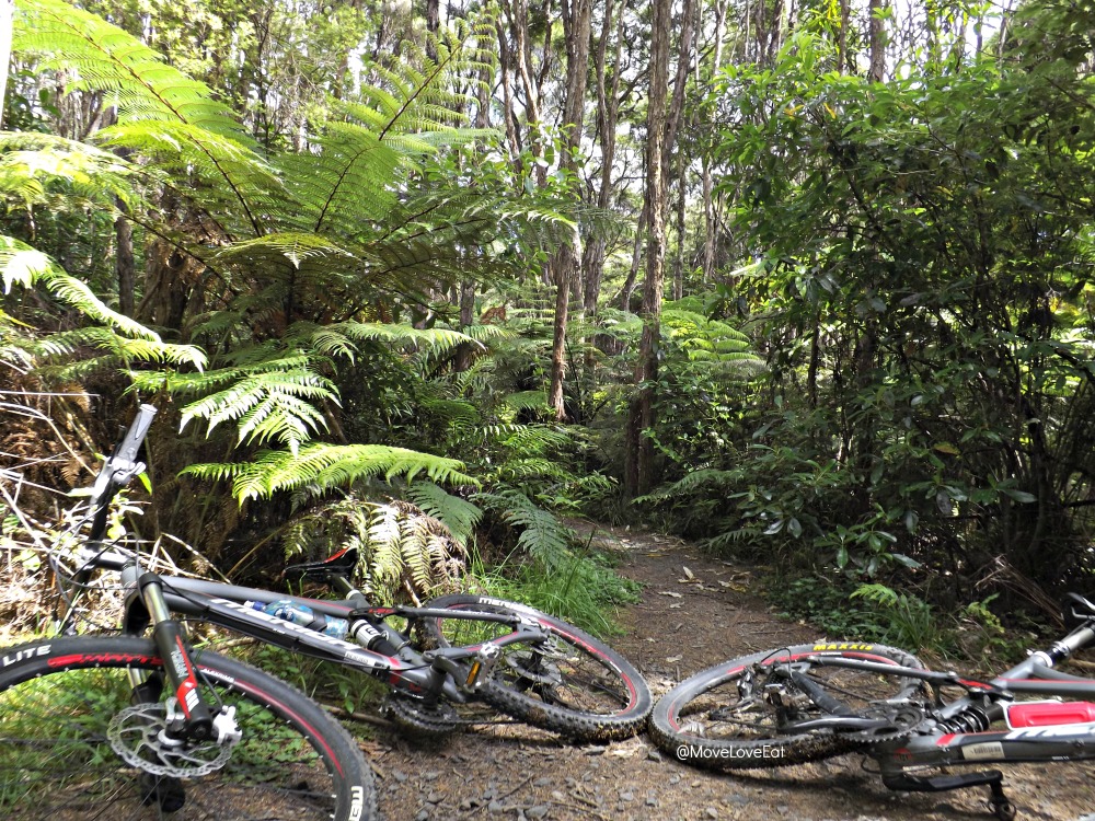 Moumoukai Farm Loop Track - Hunua Ranges Mountain Biking - Upper Mangatawhiri Campground
