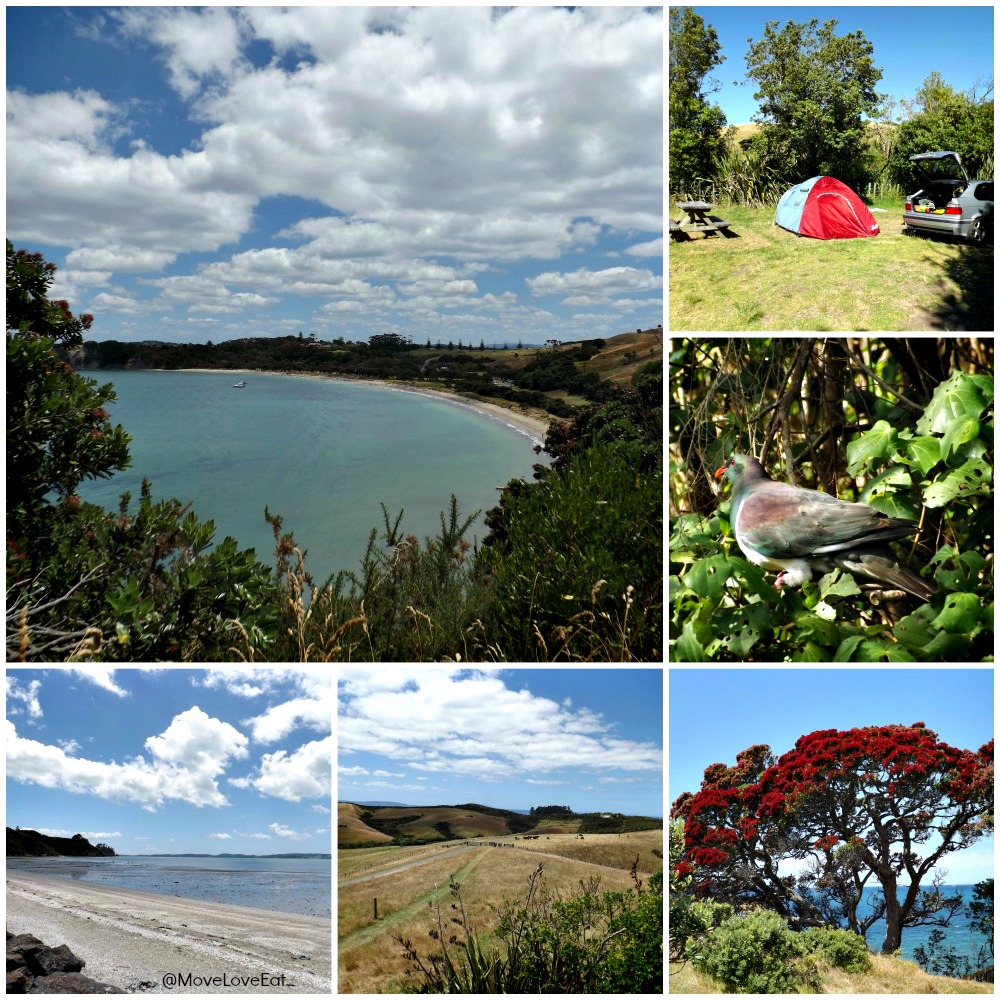 Te Haruhi Bay - Shakespear Regional Park