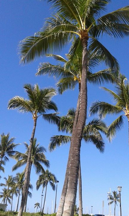 Hawaii - Pictures from our Travels