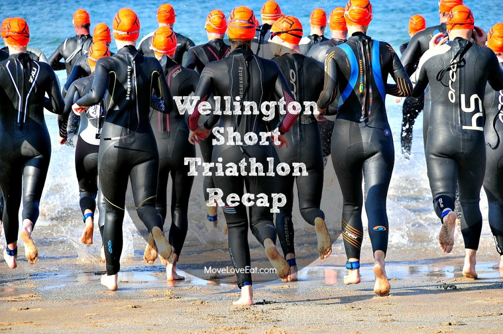 Sovereign Tri Series, Wellington Short Triathlon Recap 2015