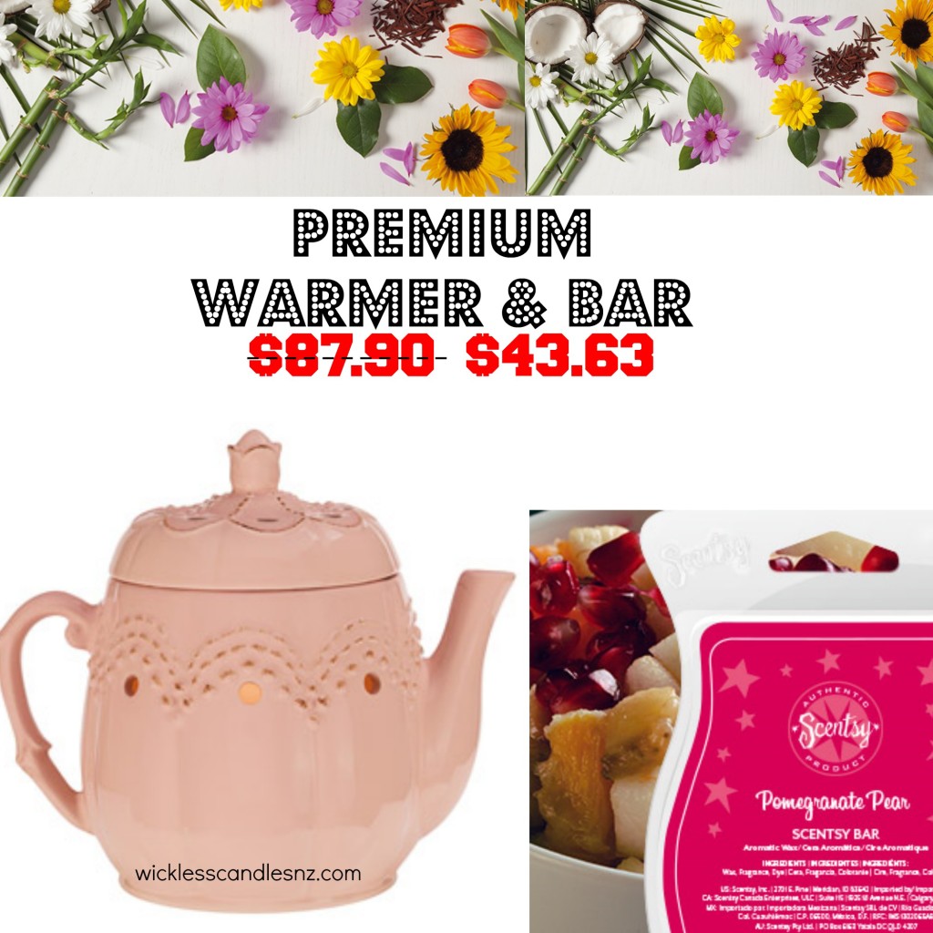 may wickless candle warmer special final