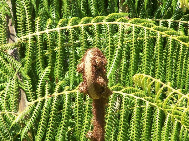 Favourite place in NZ - Wanganui