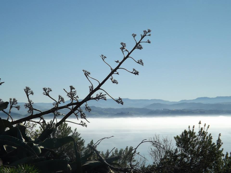Napier - Favourite place in NZ