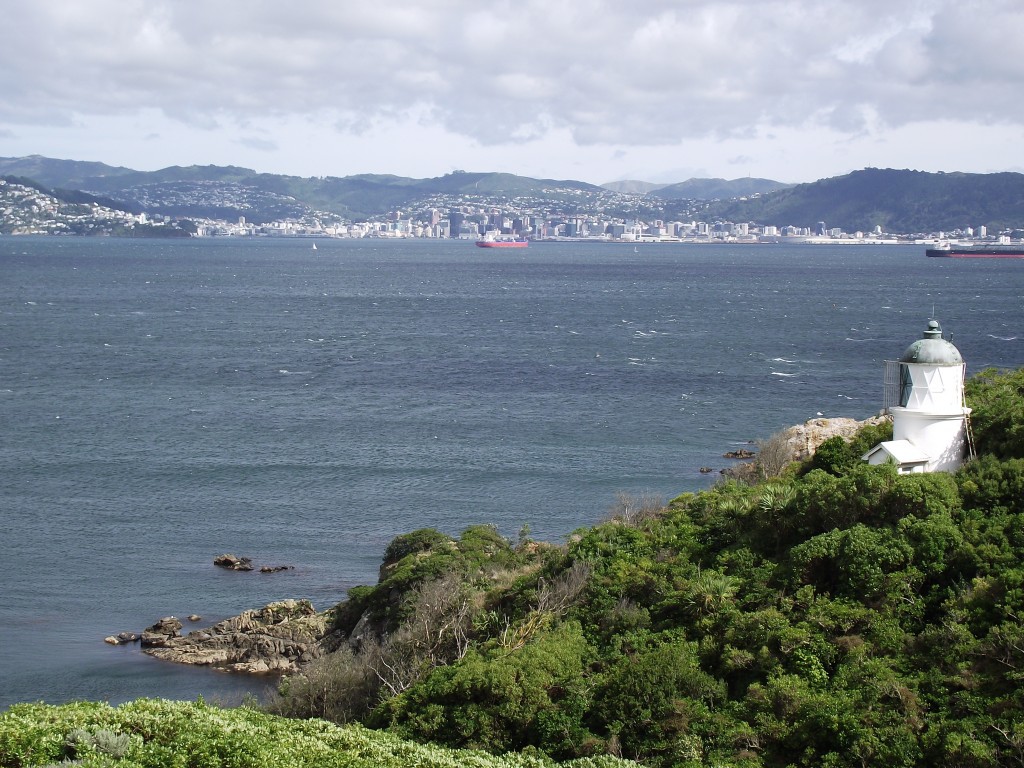 Favourite place in NZ - WELLINGTON