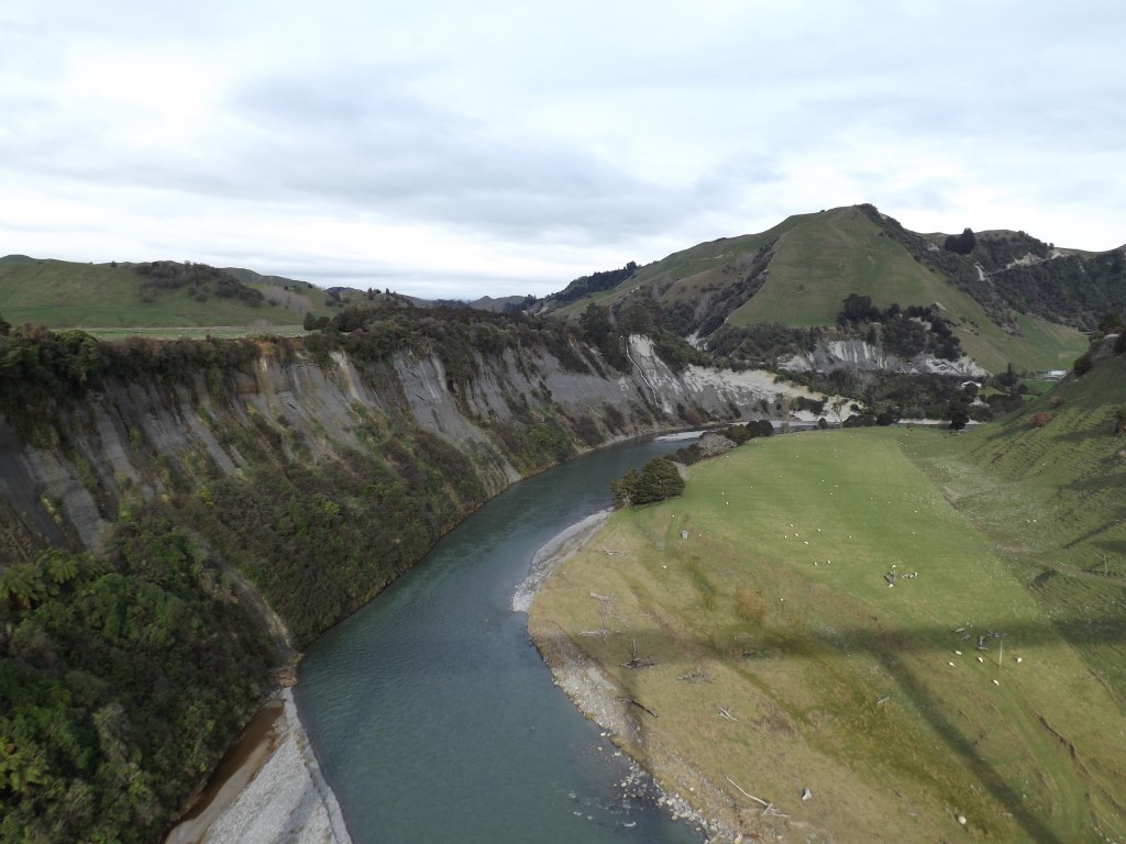 Northern Explorer Train Auckland to Wellington - NZ Travel