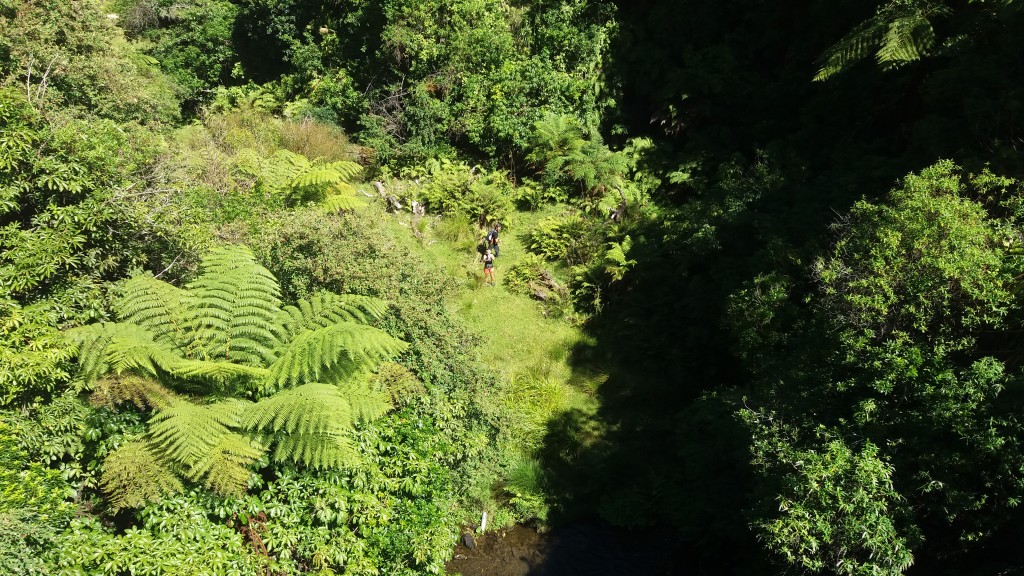 Waitahinga Dam Walk Review