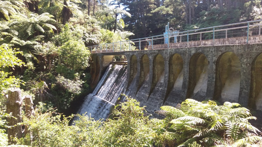 Waitahinga Dam Walk Review