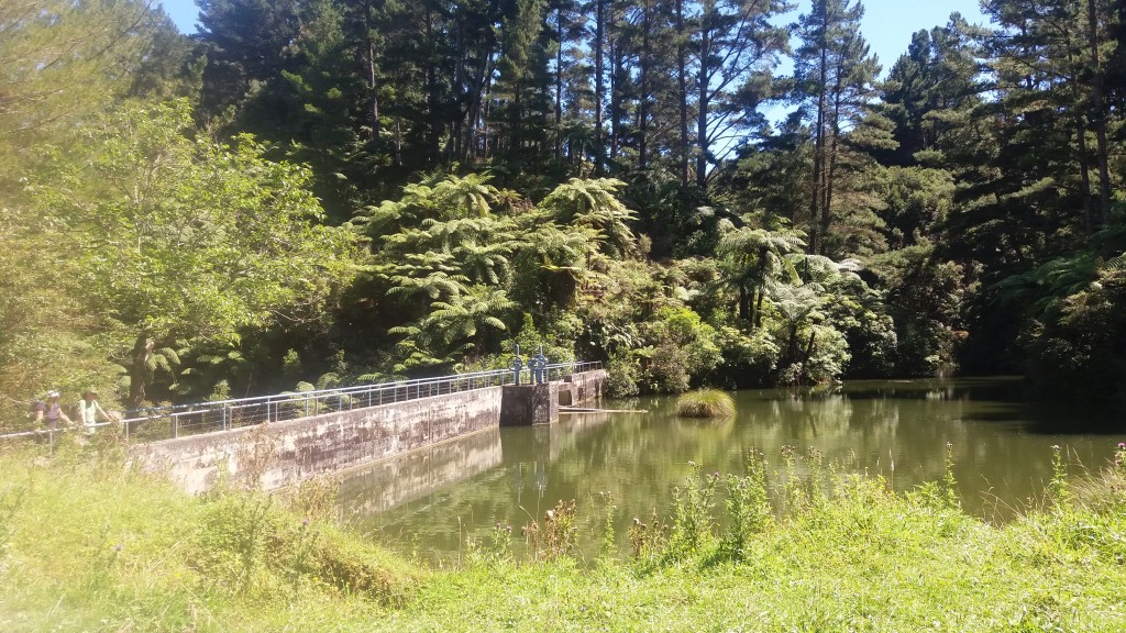 Waitahinga Dam Walk Review