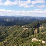 Waitahinga Dam Walk Review