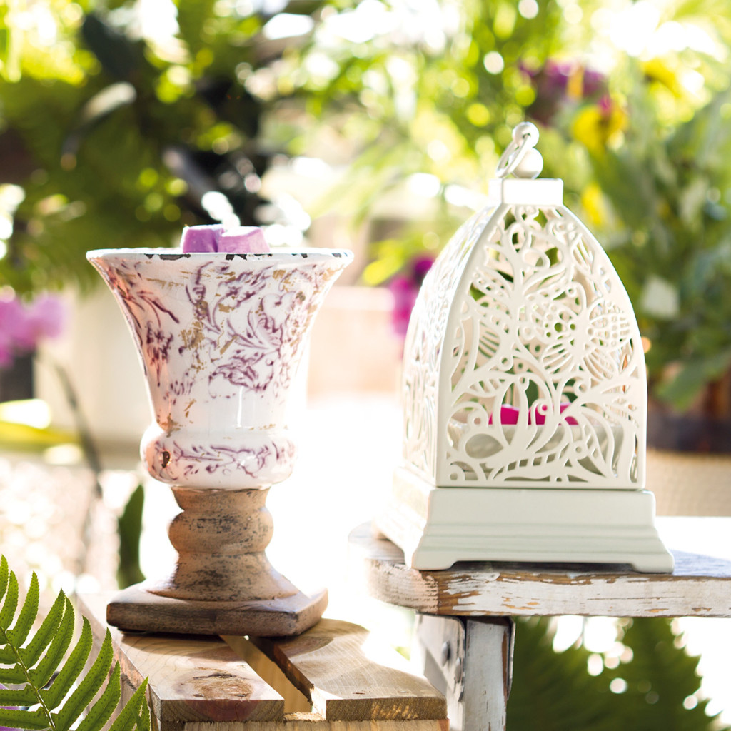 butterfly atrium - things I love february 2017