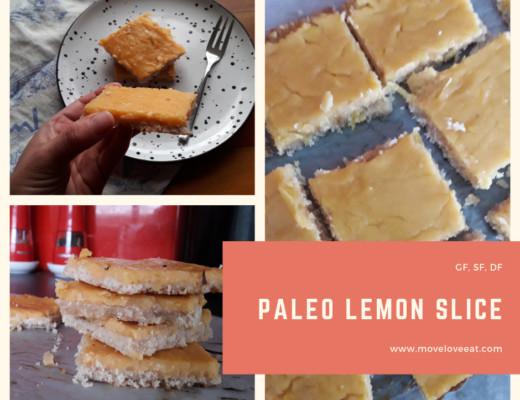 Paleo Lemon Slice